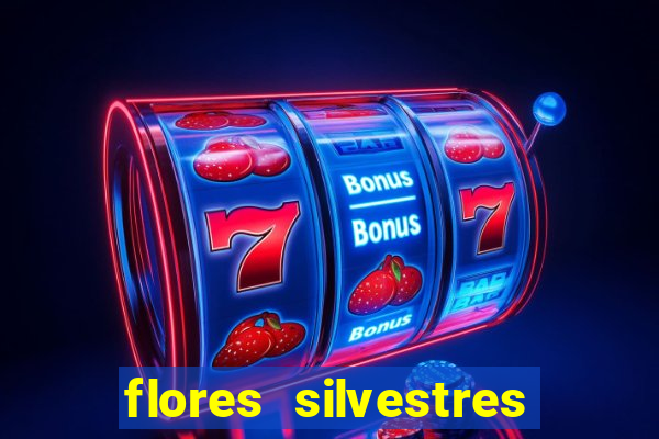 flores silvestres desbravadores desbravadores 25 flores silvestres e seus nomes